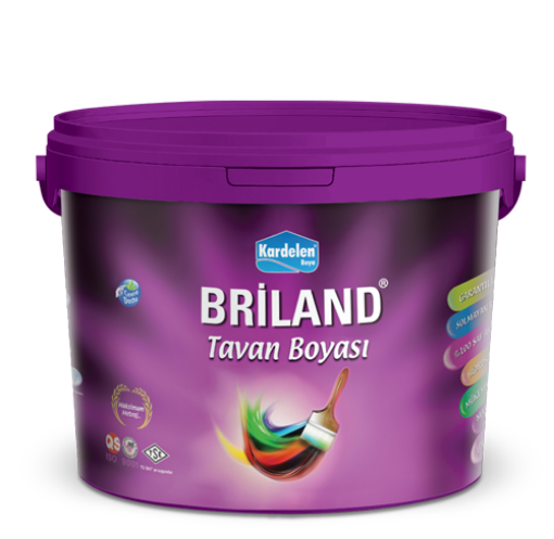 BRİLLAND TAVAN BOYASI 18/1 resmi