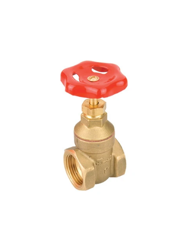 DMR. VANA ŞİBER 1/2 resmi