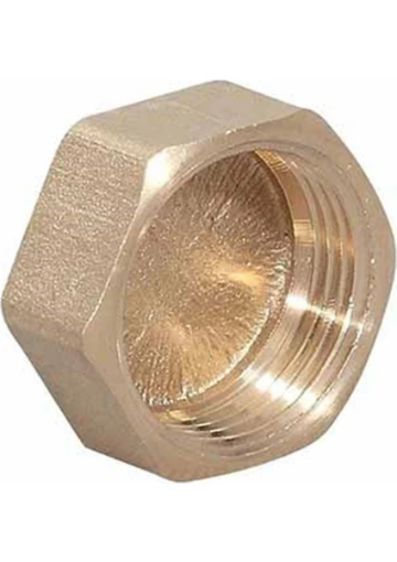 DMR. SARI DİŞİ KÖRTAPA 1/2 resmi