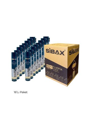 SİBAX NS-66 KÖPÜK 600 GR resmi
